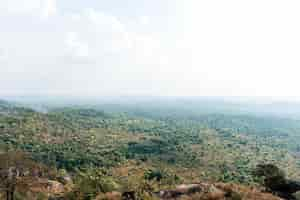 Foto grátis cenário da natureza africana com vegetação