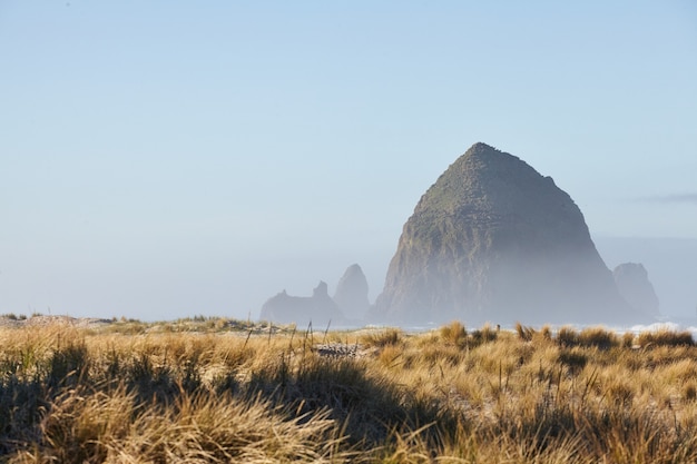 Cenário de Haystack Rock na névoa da manhã em Cannon Beach, Oregon