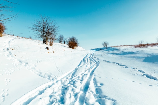 Cenário de paisagem invernal com caminho de esqui cross country modificado