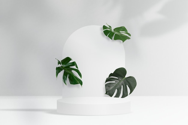 Cenário de produtos botânicos, folhas de Monstera