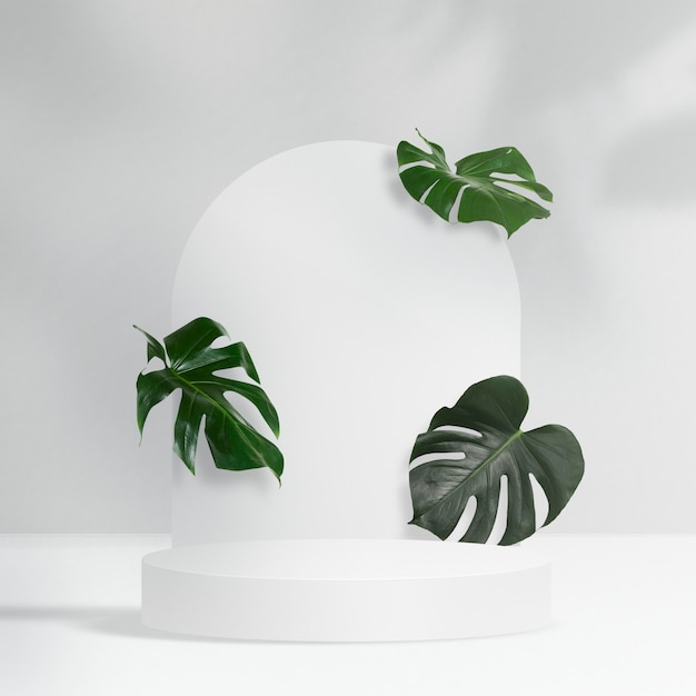 Cenário de produtos botânicos, folhas de Monstera