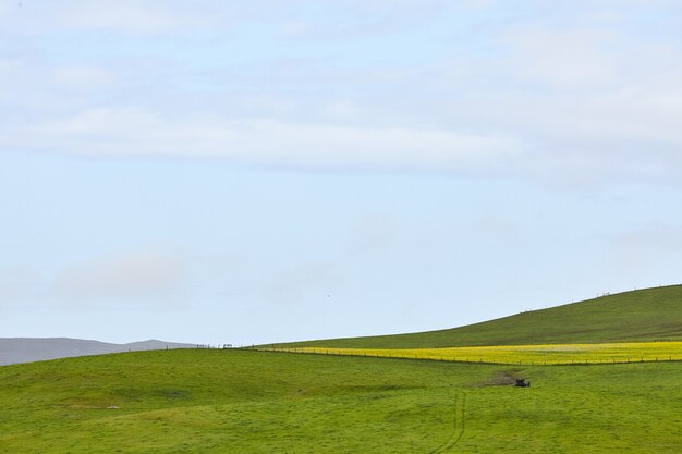 Cenário de um rancho ondulado sob um céu claro em Petaluma, Califórnia, EUA