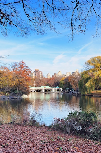 Foto grátis central park de nova york no outono