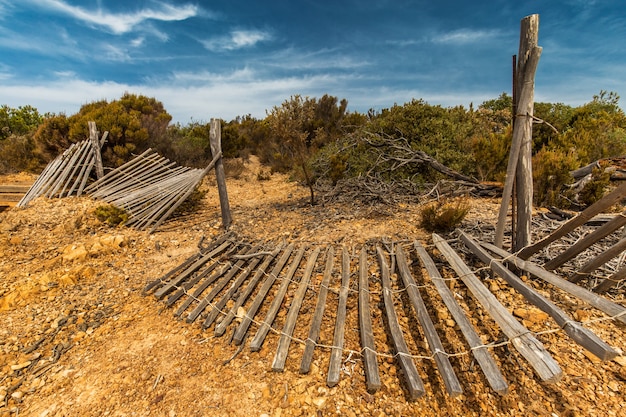 Cercas quebradas no chão cercadas por vegetação sob o sol e um céu azul