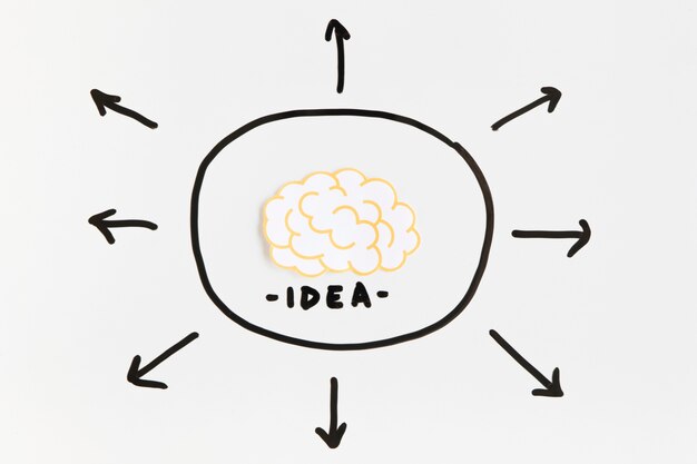 Cérebro com texto de idéia rodeado por sinais direcionais de seta no fundo branco