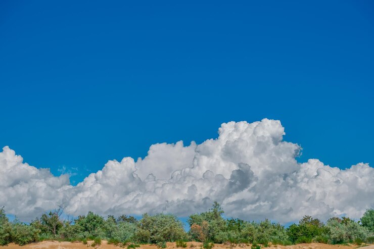 Foto grátis céu azul claro e densas nuvens cumulus se reúnem baixo acima das árvores céu azul claro em uma tempestade quente da tarde e tempestade se aproximando depois do calor do meio-dia conceito de fundo da natureza