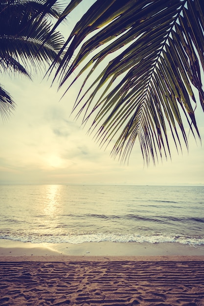 Foto grátis céu folha de árvore tropical amarela