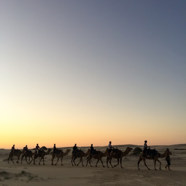 Céu moderno vários antigos marrocos