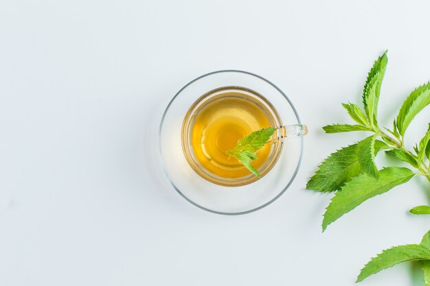 Chá com ervas em uma caneca sobre fundo branco, plana leiga.