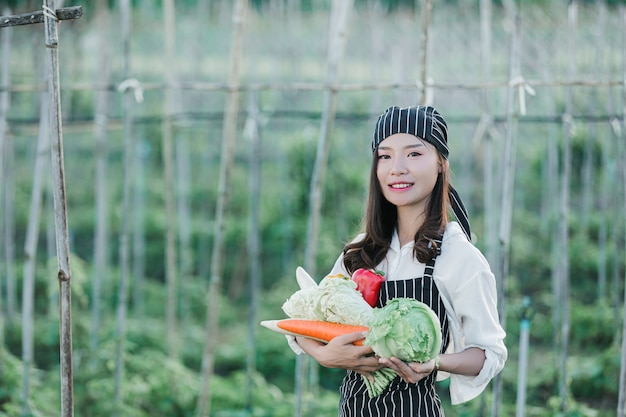 Foto grátis chef colhendo produtos frescos da fazenda orgânica