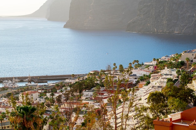 Foto grátis cidade de alto ângulo vista com mar e cliff