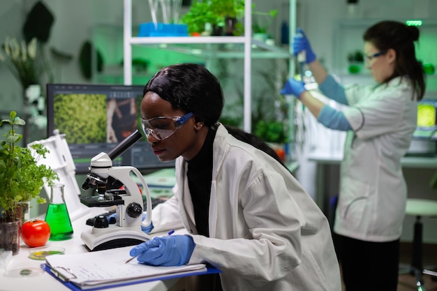 Cientista biólogo afro-americano analisando mutação genética em amostra de folha usando microscópio médico trabalhando em experimento de bioquímica em laboratório de microbiologia, planta geneticamente modificada