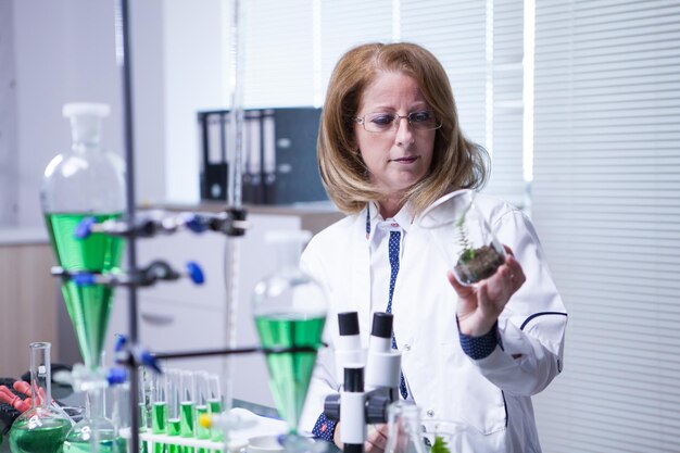 Cientista feminina usando tecnologia moderna para testes científicos de agricultura. Pesquisa de plantas.