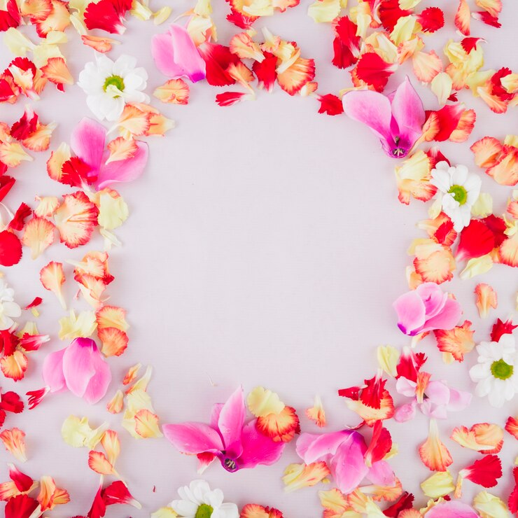 Foto grátis círculo em pétalas de flores
