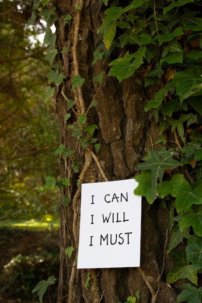 Citação inspiradora na natureza