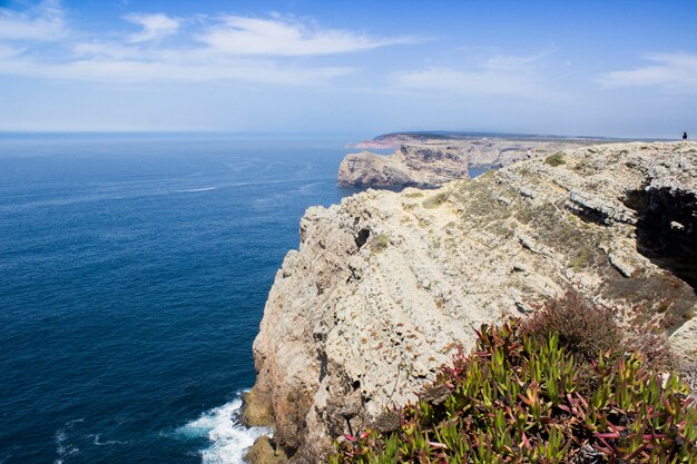 Cliffs com vegetação em um dia ensolarado