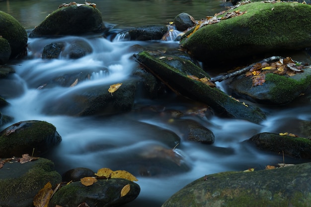 Close da água espumosa do rio cobrindo as pedras cobertas de musgo com folhas caídas de outono