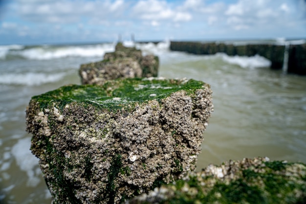 Foto grátis close de alto ângulo de pedras com musgo no topo levando ao mar ondulado