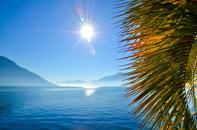 Close de folhas de palmeira cercadas pelo mar e montanhas sob o sol e um céu azul