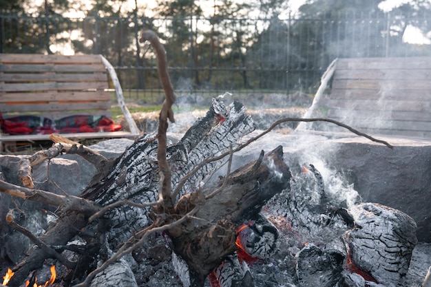 Close de grandes toras de uma árvore em um incêndio agonizante