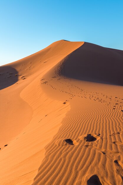 Close de ondulações de areia e trilhas em dunas de areia em um deserto contra um céu azul claro