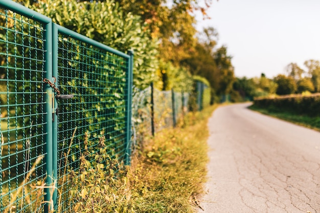 Close de uma cerca metálica e arbustos perto de uma estrada