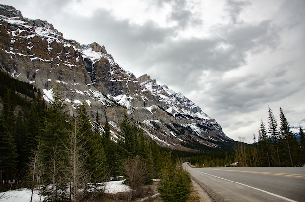 Close de uma estrada e abetos em primeiro plano de uma montanha coberta de neve