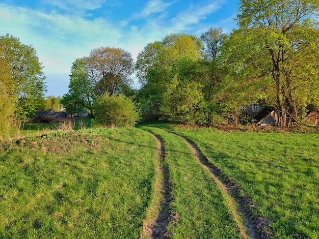 Close de uma estrada na zona rural na primavera na Bielorrússia