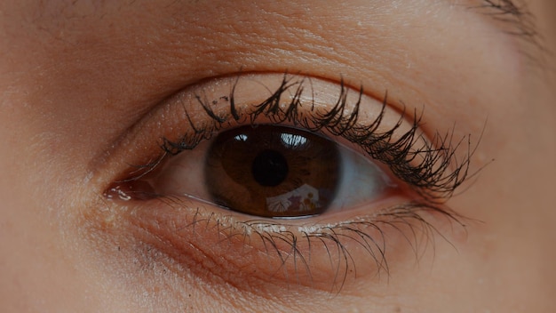 Close extremo do olho humano na frente da câmera, piscando e focalizando a visão. Olhos castanhos com pálpebra e cílios com rímel mostrando íris, retina e pupila. Aparência natural. Fechar-se