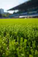 Foto grátis close no campo de beisebol