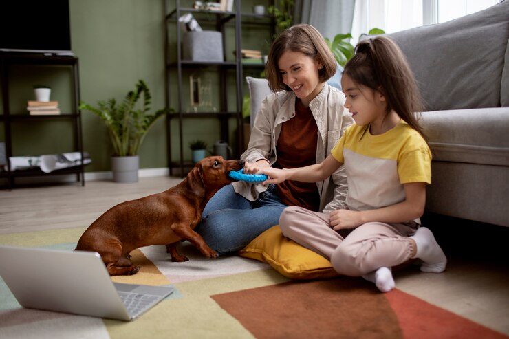 Foto grátis close no lindo dachshund passando um tempo com a família