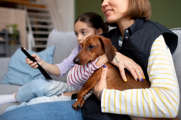 Close no lindo dachshund passando um tempo com a família