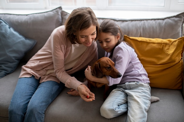 Close no lindo dachshund passando um tempo com a família