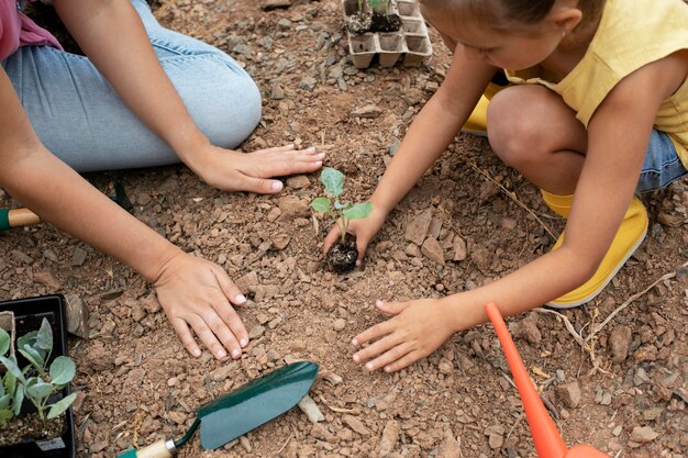 Close no processo de transplante de plantas