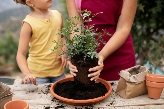 Close no processo de transplante de plantas