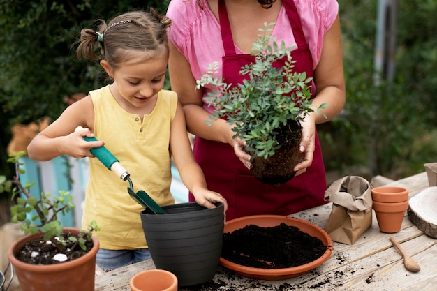 Foto grátis close no processo de transplante de plantas