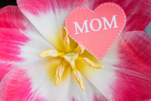Close-up da flor com coração para o dia das mães