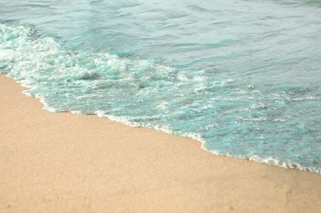 Close-up, de, água, ligado, tropicais, praia arenosa