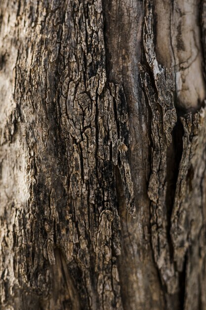 Close-up, de, antigas, madeira, textured