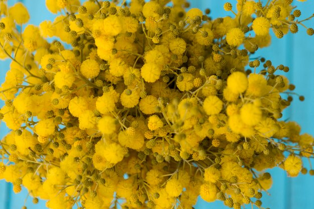 Close-up de flores amarelas