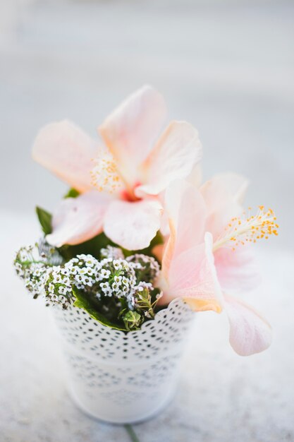 Close-up de flores bonitos com o potenciômetro branco