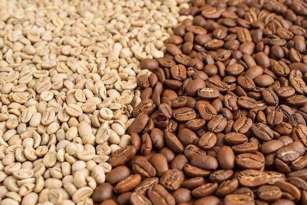Close up de grãos de café