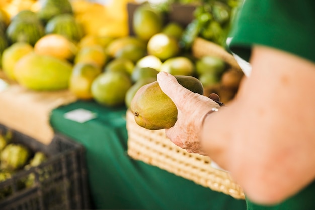 Foto grátis close-up, de, macho, passe segurar, cru, vegetal, em, mercado