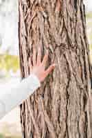 Foto grátis close-up, de, menina mão, tocar, a, casca árvore