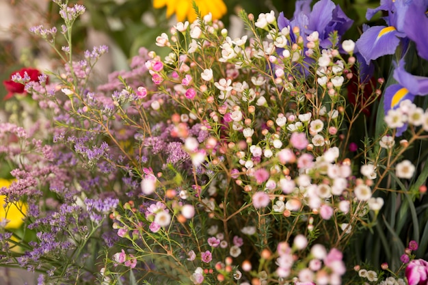 Foto grátis close-up, de, minúsculo, primavera, flor, buquet