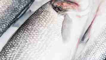 Foto grátis close-up, de, peixe fresco, em, mercado