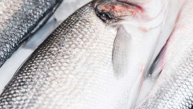 Close-up, de, peixe fresco, em, mercado