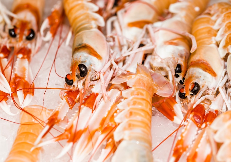 Foto grátis close-up, de, pilha, de, camarões, em, mercado