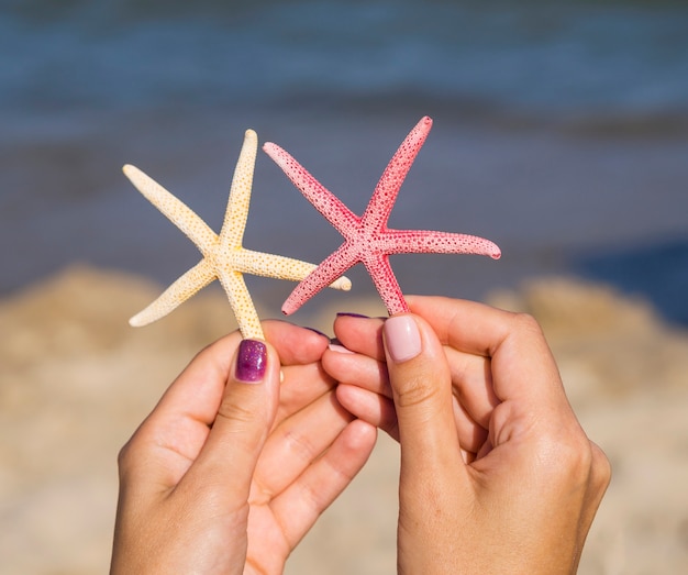Close-up, de, starfishes, sendo, segurado, perto, a, mar