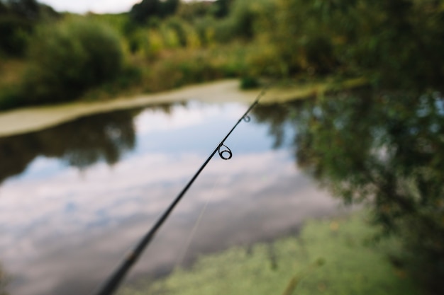 Close-up, de, um, cana de pesca, anel, perto, lago